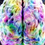 brain activated