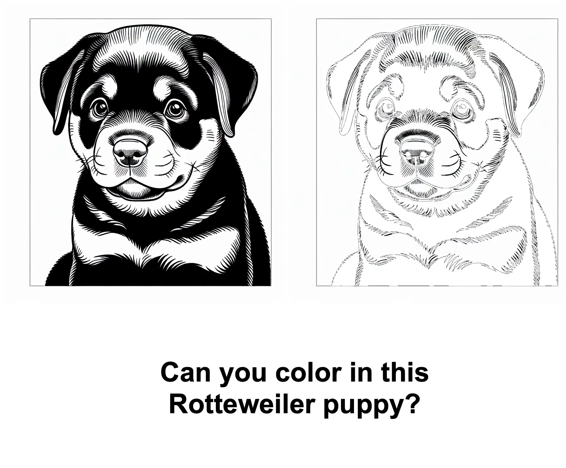 Puppy coloring page