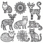 Mandala Cat coloring page