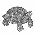 Mandala Turtle coloring page